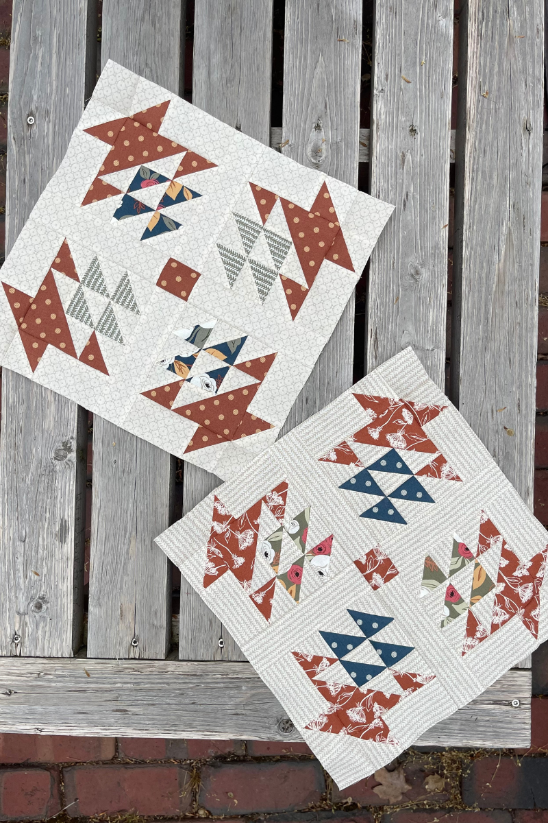 Summer Memories Quilt Along Susan Ache